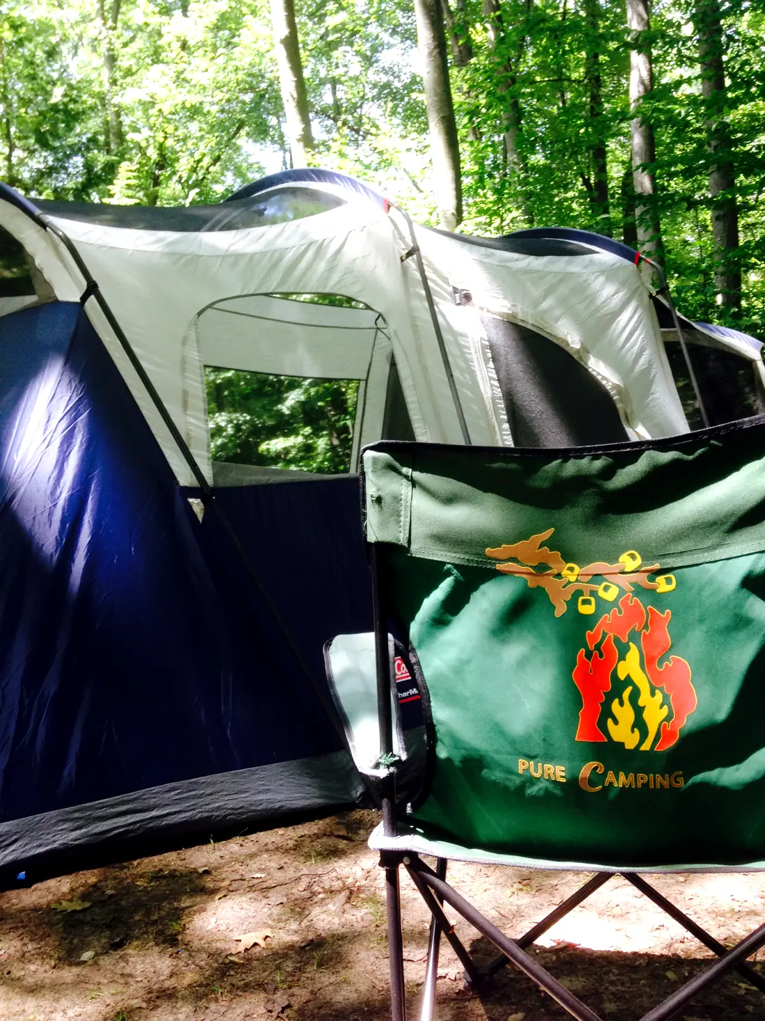 Campsite in the Michigan pines
